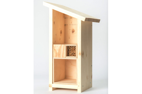 Wildbienen Gruppenhaus