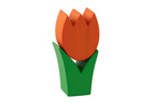 Tulpe mini orange