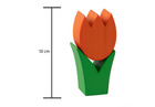 Tulpe mini orange
