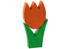 Tulpe mittel orange