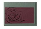Trauerkarte Rose